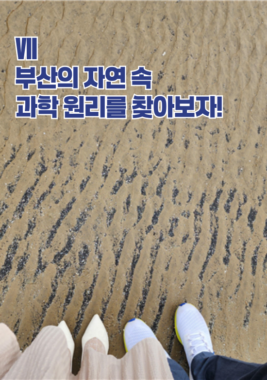 부산의 자연 속 과학원리를 찾아보자편
