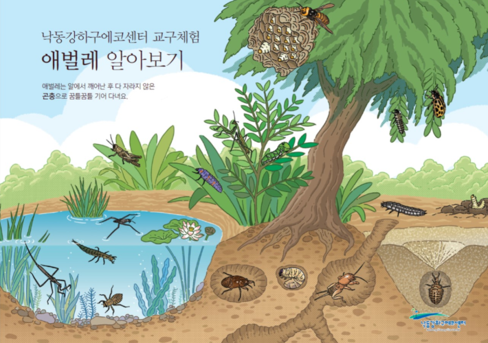6/29 반가워 곤충