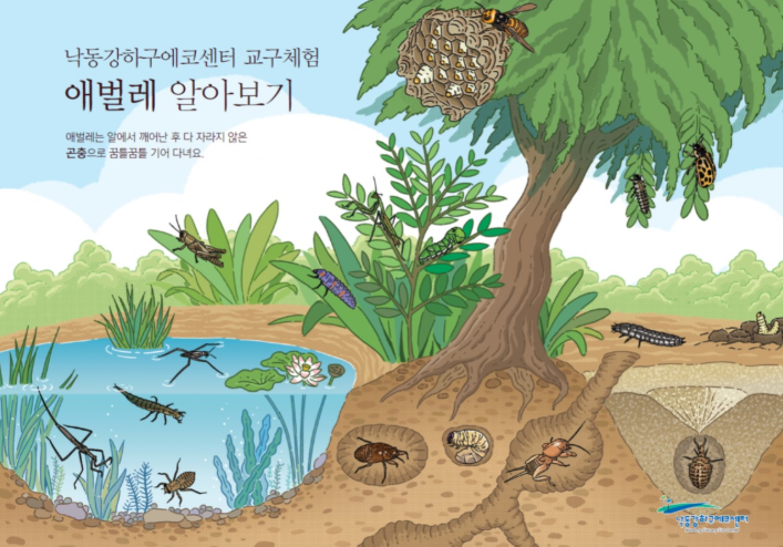 7/20 하나의 서로 돕는 곤충