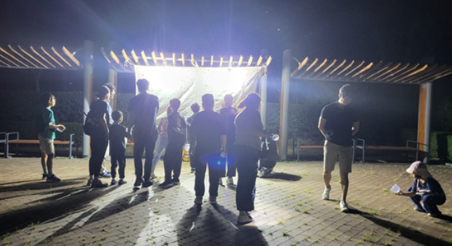 8/13 한여름밤의 곤충