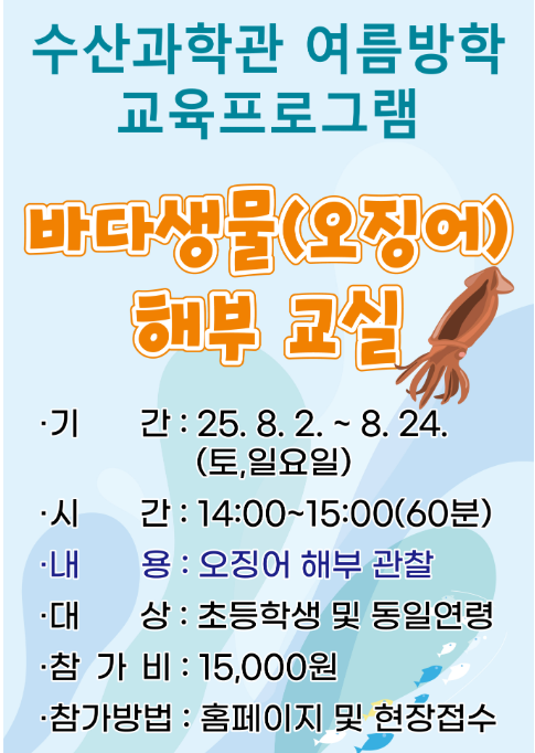 오징어 해부 교실