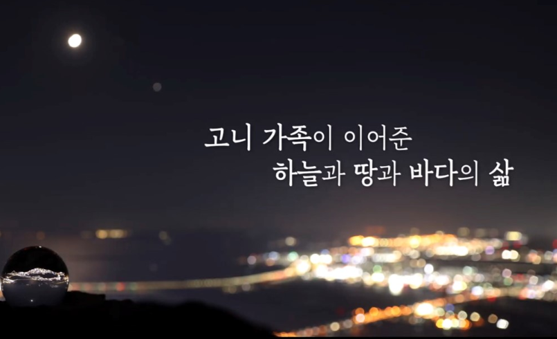 8/6 별자리 속 철새이야기